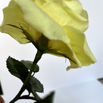 Formation Fleurs en Sucre