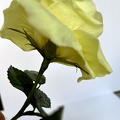 Formation Fleurs en Sucre