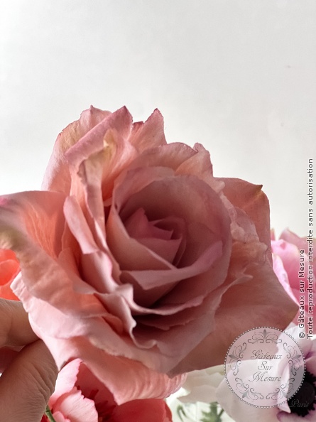 Formation Fleurs en Sucre