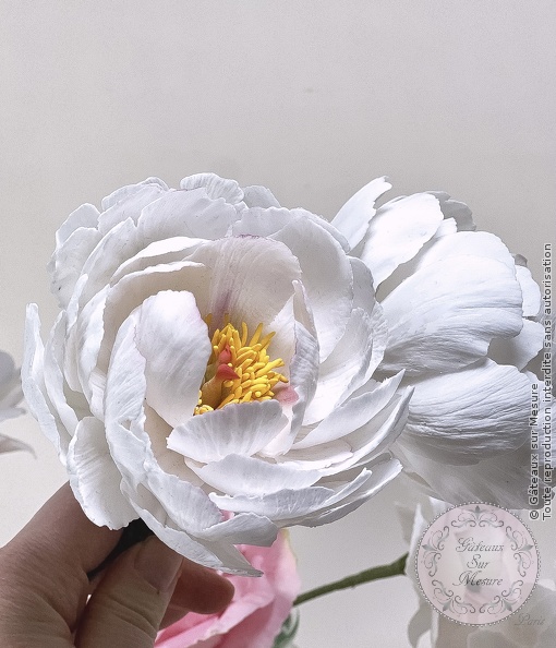 Formation Fleurs en Sucre