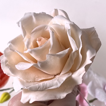 Formation Fleurs en Sucre