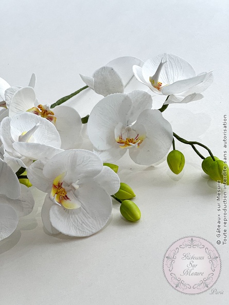 Cake Design - Formation Fleurs en Sucre - Gâteaux sur Mesure Paris Cake Design - Formation Fleurs en Sucre - Gâteaux sur Mesure Paris - cake design, cake design course, cake design training, Ecole de Cake Design de Paris, fleurs en sucre, flowers, formation, formation cake design, France, orchidee, Paris, patisserie, patisserie francaise, pivoine, sugar flowers