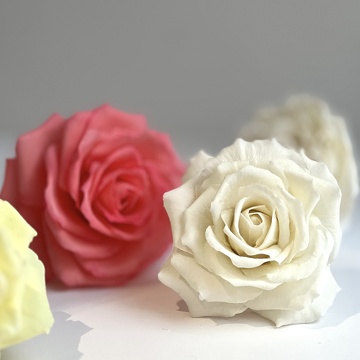 Formation Fleurs en Sucre