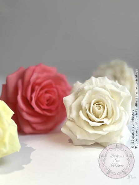 Cake Design - Formation Fleurs en Sucre - Gâteaux sur Mesure Paris Cake Design - Formation Fleurs en Sucre - Gâteaux sur Mesure Paris - cake design, cake design course, cake design training, Ecole de Cake Design de Paris, fleurs en sucre, flowers, formation, formation cake design, France, orchidee, Paris, patisserie, patisserie francaise, pivoine, sugar flowers