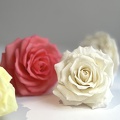 Formation Fleurs en Sucre