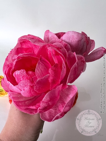 Cake Design - Formation Fleurs en Wafer Paper - Gâteaux sur Mesure Paris Cake Design - Formation Fleurs en Wafer Paper - Gâteaux sur Mesure Paris - cake design, cake design course, cake design training, Ecole de Cake Design de Paris, formation, formation cake design, France, Paris, pastry, pastry school, wafer paper, wafer paper flowers