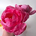 Formation Fleurs en Wafer Paper