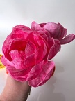 Formation Fleurs en Wafer Paper