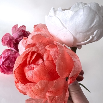 Formation Fleurs en Wafer Paper