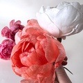 Formation Fleurs en Wafer Paper