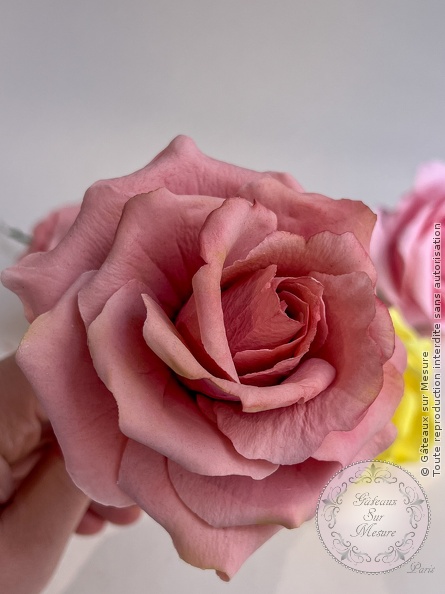 Cake Design - Formation Fleurs en Sucre - Gâteaux sur Mesure Paris Cake Design - Formation Fleurs en Sucre - Gâteaux sur Mesure Paris - cake design, cake design course, cake design training, Ecole de Cake Design de Paris, fleurs en sucre, formation, formation cake design, France, french pastry, Paris, pastry, wedding cake