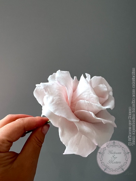 Cake Design - Formation Fleurs en Sucre - Gâteaux sur Mesure Paris Cake Design - Formation Fleurs en Sucre - Gâteaux sur Mesure Paris - cake design, cake design course, cake design training, Ecole de Cake Design de Paris, fleurs en sucre, formation, formation cake design, France, french pastry, Paris, pastry, wedding cake