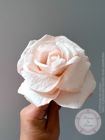 Cake Design - Formation Fleurs en Sucre - Gâteaux sur Mesure Paris Cake Design - Formation Fleurs en Sucre - Gâteaux sur Mesure Paris - cake design, cake design course, cake design training, Ecole de Cake Design de Paris, fleurs en sucre, formation, formation cake design, France, french pastry, Paris, pastry, wedding cake
