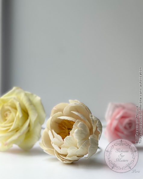 Cake Design - Formation Fleurs en Sucre - Gâteaux sur Mesure Paris - cake design, cake design course, cake design training, Ecole de Cake Design de Paris, fleurs en sucre, formation, formation cake design, France, french pastry, Paris, pastry, wedding cake