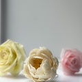 Formation Fleurs en Sucre