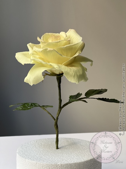 Cake Design - Formation Fleurs en Sucre - Gâteaux sur Mesure Paris - cake design, cake design course, cake design training, cakedesigner, Ecole de Cake Design de Paris, fleurs en sucre, formation, formation cake design, France, Paris, rose