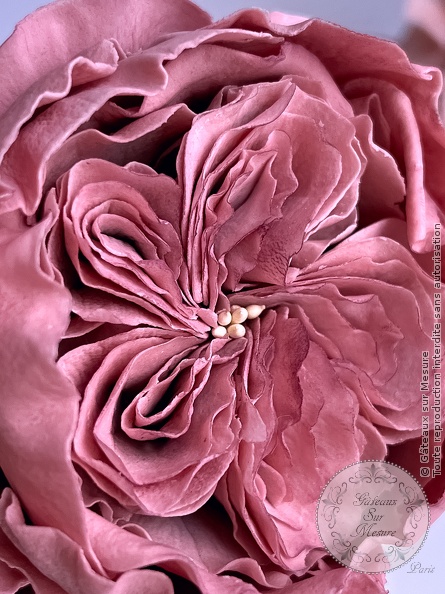 Cake Design - Formation fleurs comestibles en sucre et en wafer paper - Gâteaux sur Mesure Paris Cake Design - Formation fleurs comestibles en sucre et en wafer paper - Gâteaux sur Mesure Paris - cake design course, cake design training, Ecole de Cake Design de Paris, formation, formation cake design, France, Paris