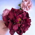 Formation fleurs comestibles en sucre et en wafer paper
