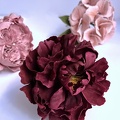 Formation fleurs comestibles en sucre et en wafer paper