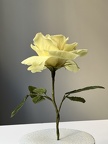 Formation fleurs comestibles en sucre et en wafer paper