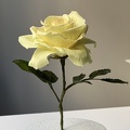 Formation fleurs comestibles en sucre et en wafer paper