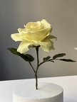 Formation fleurs comestibles en sucre et en wafer paper