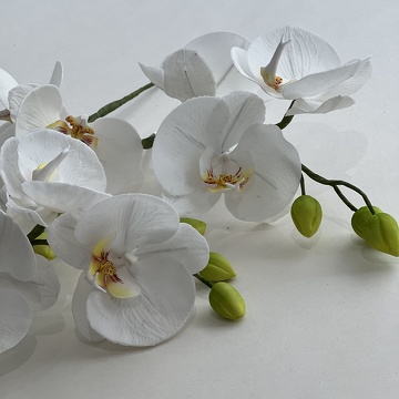 Formation fleurs comestibles en sucre et en wafer paper
