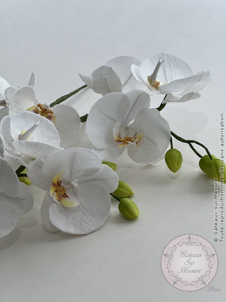 Cake Design - Formation fleurs comestibles en sucre et en wafer paper - Gâteaux sur Mesure Paris - cake design, cake design paris, sugarflowers