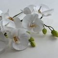 Formation fleurs comestibles en sucre et en wafer paper