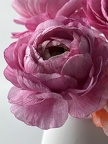IMG 0083
